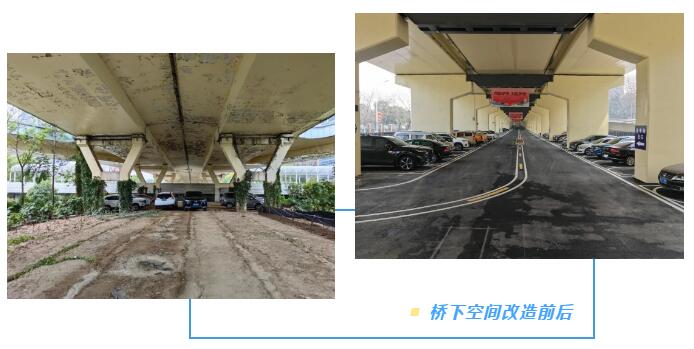 1739755162205979.jpg 10.jpg